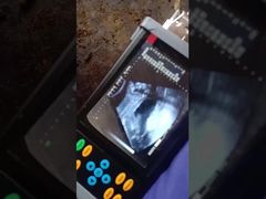 ポータブル動物用超音波スキャナー BR-VET7