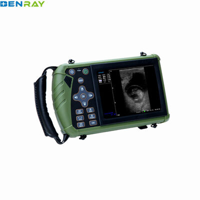 Portable Veterinary Ultrasound Scanner