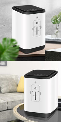 1L Medical Oxygen Concentrator Machine Home Use Oxygen Machine 1 Liter