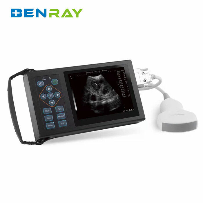 Handheld veterinary ultrasound scanner